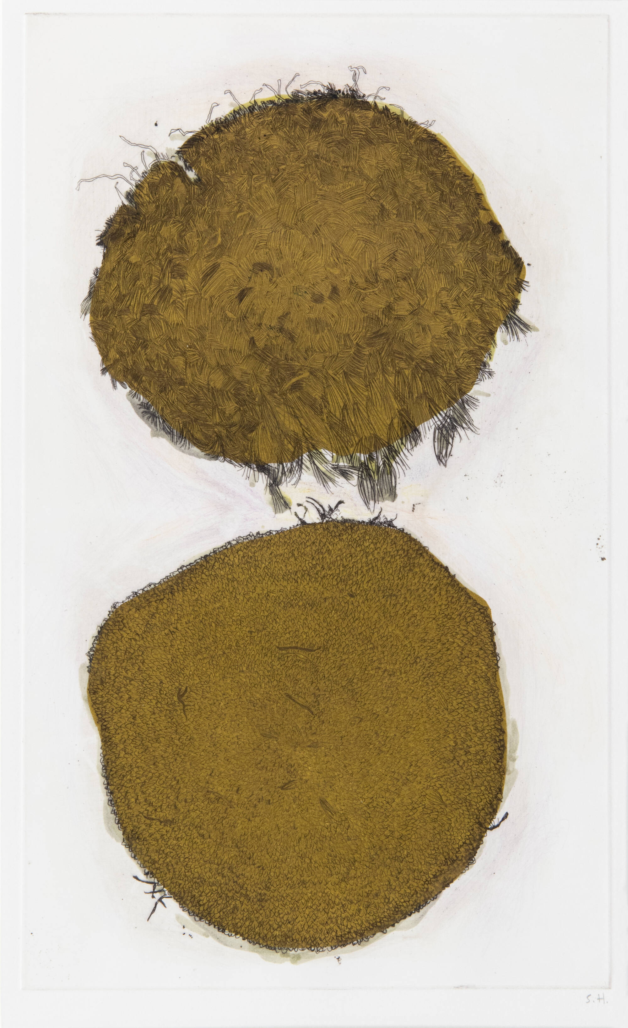Two stacked gold circles with different textures.